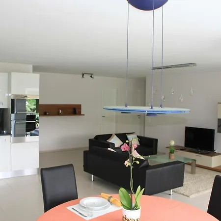 Ascona Monte Verita Apt 10 B 公寓 *